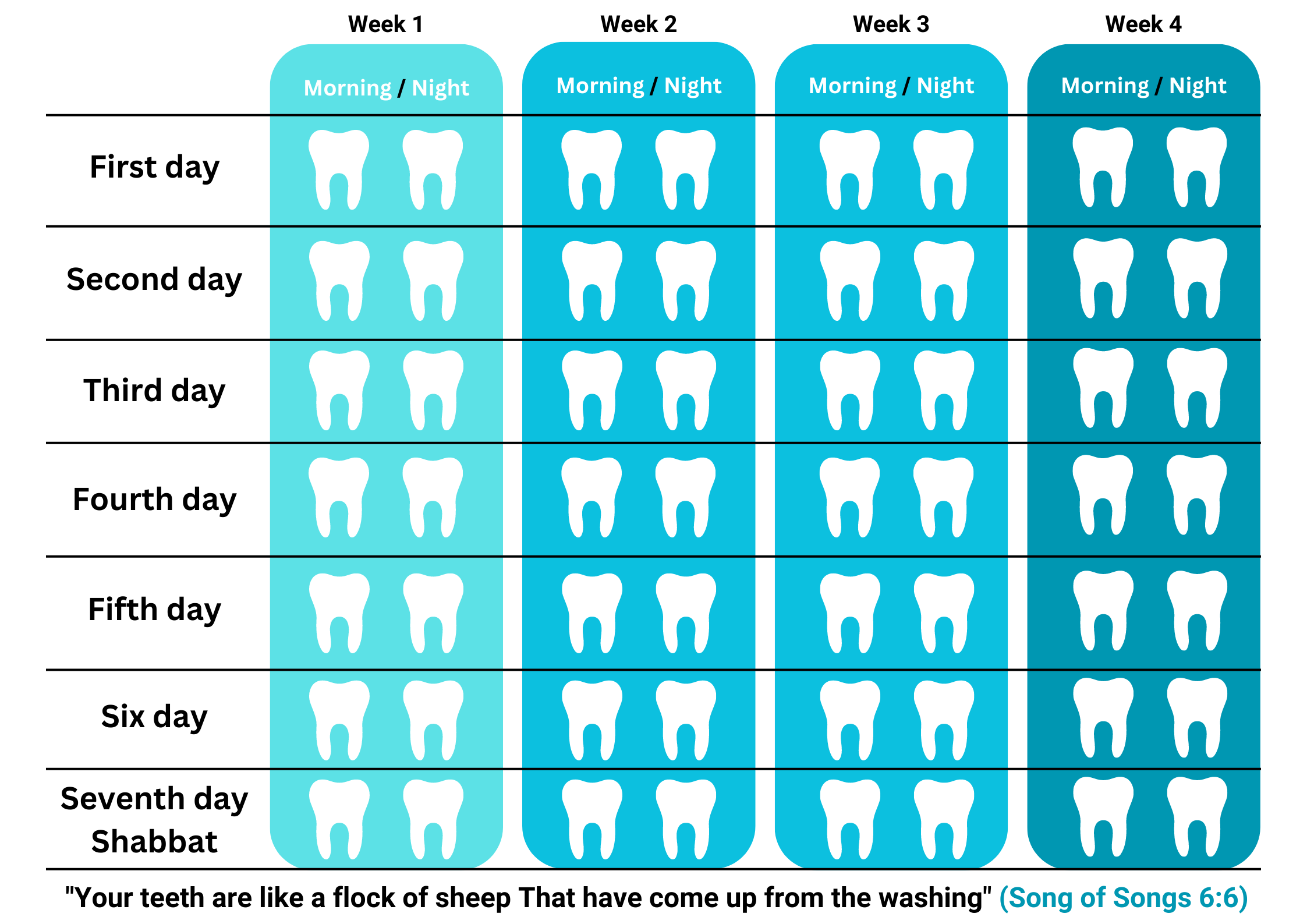 Teeth Brushing Chart